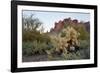 USA, Arizona. Lost Dutchman State Park, Cholla cactus and Superstition Mountains-Kevin Oke-Framed Photographic Print