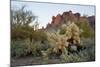 USA, Arizona. Lost Dutchman State Park, Cholla cactus and Superstition Mountains-Kevin Oke-Mounted Photographic Print