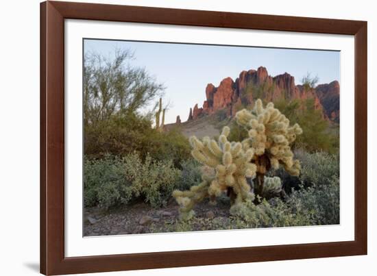 USA, Arizona. Lost Dutchman State Park, Cholla cactus and Superstition Mountains-Kevin Oke-Framed Photographic Print