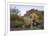 USA, Arizona. Lost Dutchman State Park, Cholla cactus and Superstition Mountains-Kevin Oke-Framed Photographic Print