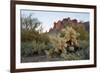 USA, Arizona. Lost Dutchman State Park, Cholla cactus and Superstition Mountains-Kevin Oke-Framed Photographic Print
