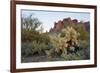 USA, Arizona. Lost Dutchman State Park, Cholla cactus and Superstition Mountains-Kevin Oke-Framed Photographic Print