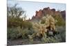 USA, Arizona. Lost Dutchman State Park, Cholla cactus and Superstition Mountains-Kevin Oke-Mounted Photographic Print