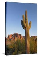 USA, Arizona. Lost Dutchman State Park, Saguaro Cactus and Superstition Mountains-Kevin Oke-Stretched Canvas