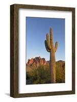 USA, Arizona. Lost Dutchman State Park, Saguaro Cactus and Superstition Mountains-Kevin Oke-Framed Photographic Print