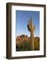 USA, Arizona. Lost Dutchman State Park, Saguaro Cactus and Superstition Mountains-Kevin Oke-Framed Photographic Print