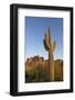 USA, Arizona. Lost Dutchman State Park, Saguaro Cactus and Superstition Mountains-Kevin Oke-Framed Photographic Print