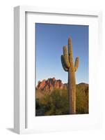 USA, Arizona. Lost Dutchman State Park, Saguaro Cactus and Superstition Mountains-Kevin Oke-Framed Photographic Print