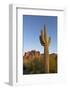 USA, Arizona. Lost Dutchman State Park, Saguaro Cactus and Superstition Mountains-Kevin Oke-Framed Photographic Print