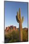 USA, Arizona. Lost Dutchman State Park, Saguaro Cactus and Superstition Mountains-Kevin Oke-Mounted Photographic Print