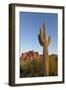 USA, Arizona. Lost Dutchman State Park, Saguaro Cactus and Superstition Mountains-Kevin Oke-Framed Photographic Print