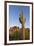 USA, Arizona. Lost Dutchman State Park, Saguaro Cactus and Superstition Mountains-Kevin Oke-Framed Premium Photographic Print