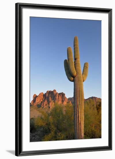 USA, Arizona. Lost Dutchman State Park, Saguaro Cactus and Superstition Mountains-Kevin Oke-Framed Premium Photographic Print