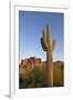 USA, Arizona. Lost Dutchman State Park, Saguaro Cactus and Superstition Mountains-Kevin Oke-Framed Photographic Print