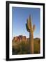 USA, Arizona. Lost Dutchman State Park, Saguaro Cactus and Superstition Mountains-Kevin Oke-Framed Photographic Print