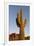 USA, Arizona, Lost Dutchman State Park. Saguaro Cactus-Kevin Oke-Framed Premium Photographic Print