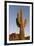 USA, Arizona, Lost Dutchman State Park. Saguaro Cactus-Kevin Oke-Framed Premium Photographic Print