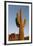 USA, Arizona, Lost Dutchman State Park. Saguaro Cactus-Kevin Oke-Framed Premium Photographic Print