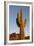 USA, Arizona, Lost Dutchman State Park. Saguaro Cactus-Kevin Oke-Framed Premium Photographic Print