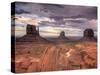 USA, Arizona, Monument Valley-Michele Falzone-Stretched Canvas