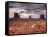 USA, Arizona, Monument Valley-Michele Falzone-Framed Stretched Canvas