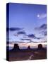 USA, Arizona, Monument Valley-Michele Falzone-Stretched Canvas