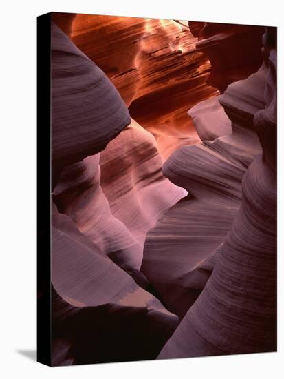 USA, Arizona, Navajo Tribal Park, Erosion of Navajo Sandstone of Lower Antelope Canyon-John Barger-Stretched Canvas