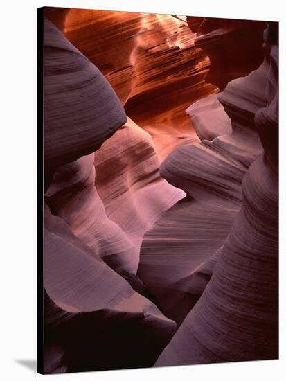 USA, Arizona, Navajo Tribal Park, Erosion of Navajo Sandstone of Lower Antelope Canyon-John Barger-Stretched Canvas