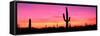 Usa, Arizona, Organ Pipe National Monument, Sunset-Robert Glusic-Framed Stretched Canvas