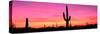 Usa, Arizona, Organ Pipe National Monument, Sunset-Robert Glusic-Stretched Canvas