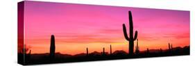 Usa, Arizona, Organ Pipe National Monument, Sunset-Robert Glusic-Stretched Canvas