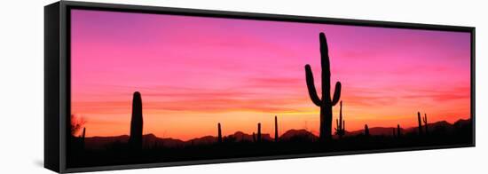 Usa, Arizona, Organ Pipe National Monument, Sunset-Robert Glusic-Framed Stretched Canvas