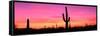 Usa, Arizona, Organ Pipe National Monument, Sunset-Robert Glusic-Framed Stretched Canvas