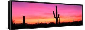 Usa, Arizona, Organ Pipe National Monument, Sunset-Robert Glusic-Framed Stretched Canvas