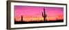 Usa, Arizona, Organ Pipe National Monument, Sunset-Robert Glusic-Framed Premium Photographic Print