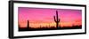 Usa, Arizona, Organ Pipe National Monument, Sunset-Robert Glusic-Framed Premium Photographic Print