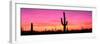 Usa, Arizona, Organ Pipe National Monument, Sunset-Robert Glusic-Framed Premium Photographic Print