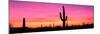 Usa, Arizona, Organ Pipe National Monument, Sunset-Robert Glusic-Mounted Premium Photographic Print