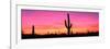 Usa, Arizona, Organ Pipe National Monument, Sunset-Robert Glusic-Framed Photographic Print