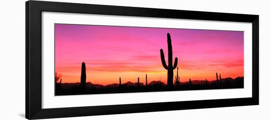 Usa, Arizona, Organ Pipe National Monument, Sunset-Robert Glusic-Framed Photographic Print