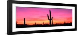 Usa, Arizona, Organ Pipe National Monument, Sunset-Robert Glusic-Framed Photographic Print