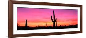 Usa, Arizona, Organ Pipe National Monument, Sunset-Robert Glusic-Framed Photographic Print