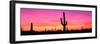 Usa, Arizona, Organ Pipe National Monument, Sunset-Robert Glusic-Framed Photographic Print