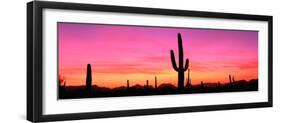 Usa, Arizona, Organ Pipe National Monument, Sunset-Robert Glusic-Framed Photographic Print