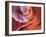 USA, Arizona, Page, Lower Antelope Canyon-Michele Falzone-Framed Photographic Print