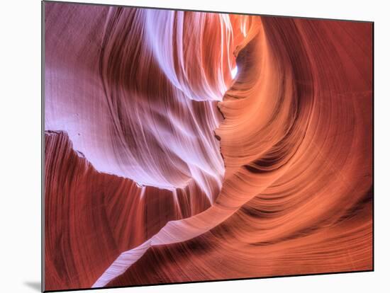 USA, Arizona, Page, Lower Antelope Canyon-Michele Falzone-Mounted Photographic Print