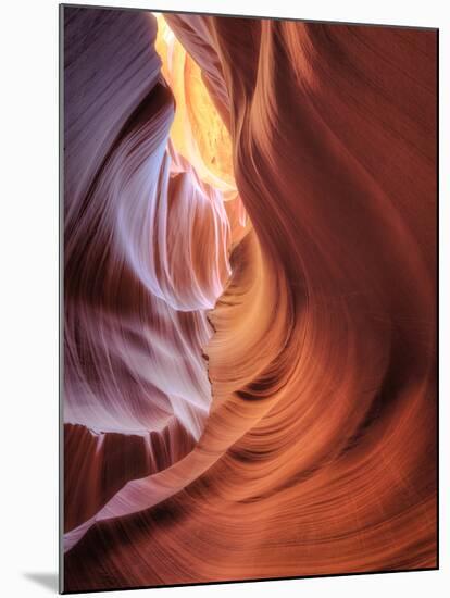 USA, Arizona, Page, Lower Antelope Canyon-Michele Falzone-Mounted Photographic Print