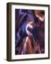 USA, Arizona, Page, Upper Antelope Canyon-Michele Falzone-Framed Photographic Print