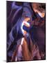 USA, Arizona, Page, Upper Antelope Canyon-Michele Falzone-Mounted Photographic Print