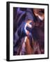 USA, Arizona, Page, Upper Antelope Canyon-Michele Falzone-Framed Photographic Print